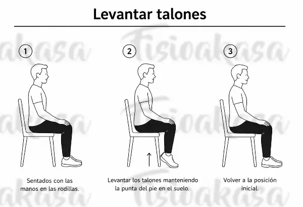 Levantar talones